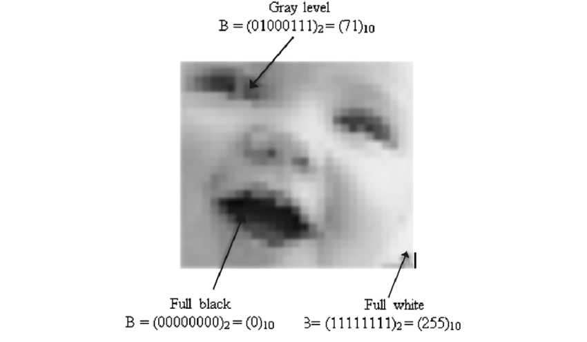 Binary Image Example